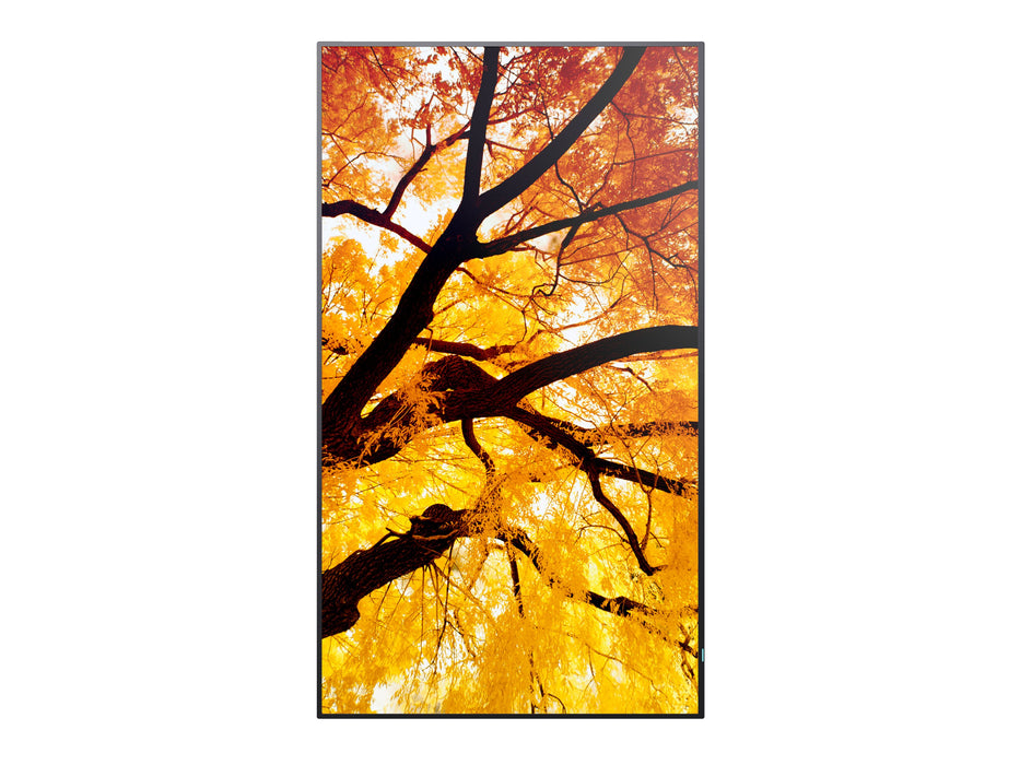 EAN 4550556176682 - Sharp MultiSync M322 Pantalla plana para señalización digital 81,3 cm (32") LCD 550 cd / m² Full HD Negro imagen 7