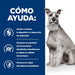 EAN 0052742040554 - Hills 606430 alimento húmedo para perros Pollo, Ternera Universal 12 kg imagen 3