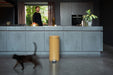 EAN 8710755238765 - Brabantia 238765 cubo de basura Alrededor Acero Oro imagen 4