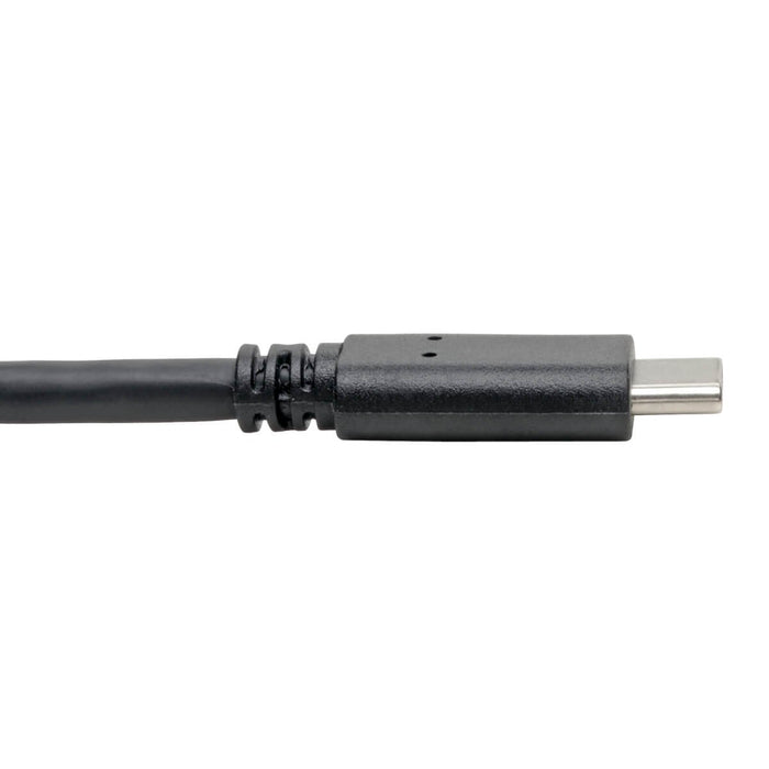 EAN 37332218391 - Tripp Lite U428-006 cable USB USB 3.2 Gen 1 (3.1 Gen 1) 1,83 m USB C USB A 5 Gbit/s Negro imagen 4