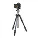 EAN 8024221700084 - Manfrotto Element MII Aluminium tripode Digitales / cámaras de película 3 pata(s) Negro imagen 7