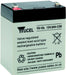 EAN 3660766459404 - Yuasa Y5-12L batería para sistema ups Sealed Lead Acid (VRLA) 12 V imagen 1