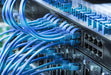 EAN 5605922050987 - Phasak PHK 1702 cable de red Cat6 U/UTP (UTP) imagen 6