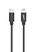 EAN 4010425971621 - 2GO 797162 cable de conector Lightning 1 m Negro imagen 1