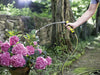 EAN 4054278503981 - Kärcher PERFORMANCE PLUS 3/4" manguera de jardín 25 m Negro, Amarillo imagen 6