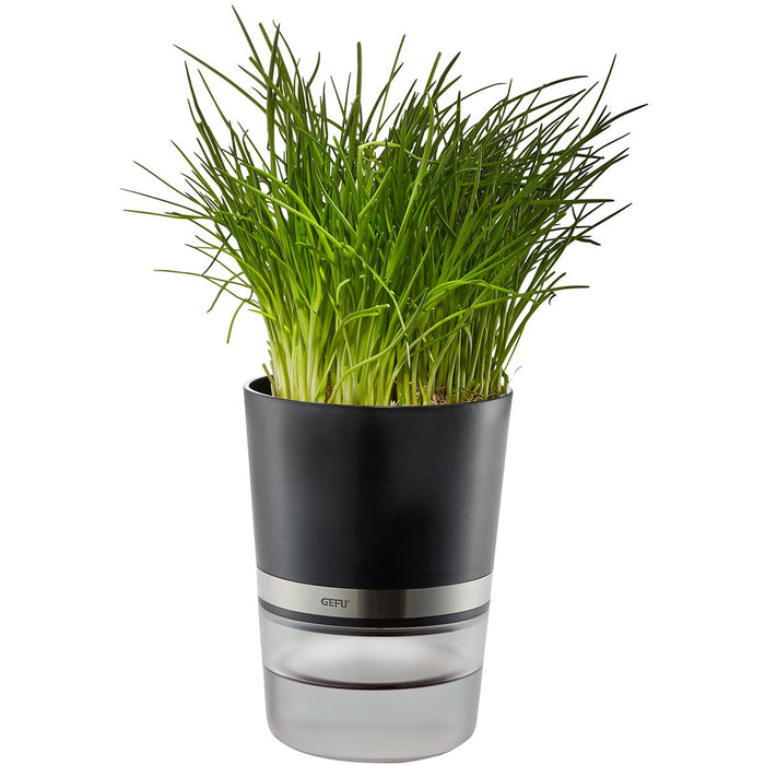 EAN 4006664189200 - GEFU BOTANICO Maceta para hierbas aromáticas Independiente Plástico, Acero inoxidable Negro imagen 3