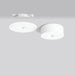 EAN 4051859721260 - RZB LUCIO 2 iluminación de techo LED imagen 2