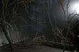 EAN 0634482048092 - NECA Ultimate Wolf Man imagen 20
