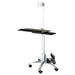 EAN 7611990198467 - VALUE Mobile PC Cart, silver imagen 1