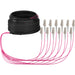 EAN 4049759305338 - EFB Elektronik O8342S10OM4 Cable de fibra óptica e InfiniBand 10 m 12x LC U-DQ(ZN) BH Beige, Negro imagen 1