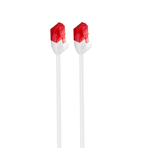 EAN 8054392618598 - Ewent IM1040 cable de red Blanco 3 m Cat6 U/UTP (UTP) imagen 1