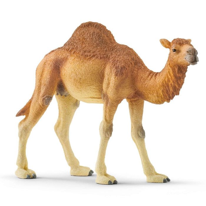 EAN 4059433039671 - schleich Vida Salvaje 14832 figura de juguete para niños imagen 1