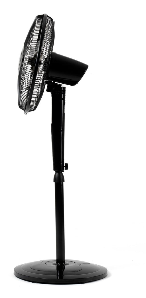 EAN 8426156012810 - Grunkel FAN-B16ECOTIMER Negro imagen 2