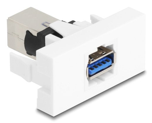 EAN 4043619909100 - DeLOCK 90910 módulo de conector de red imagen 2