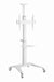 EAN 8716309128995 - Gembird Aluminum TV floor stand with caster wheels, 37\" - 70\", baltas | imagen 1
