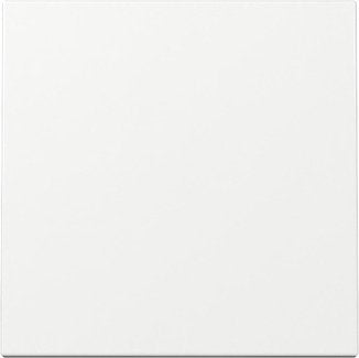 EAN 4010337039358 - GIRA 329603 placa de pared y cubierta de interruptor Blanco imagen 1
