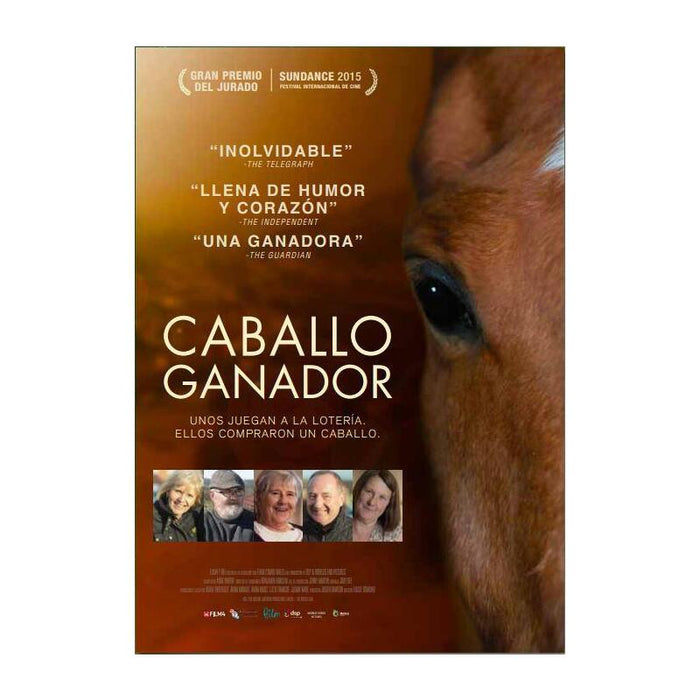 Caballo Ganador (Dark Horse)