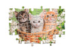 EAN 8005125248209 - Clementoni 24820 puzzle imagen 4