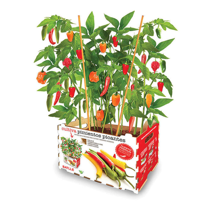 Caja Pimientos Picantes Batlle
