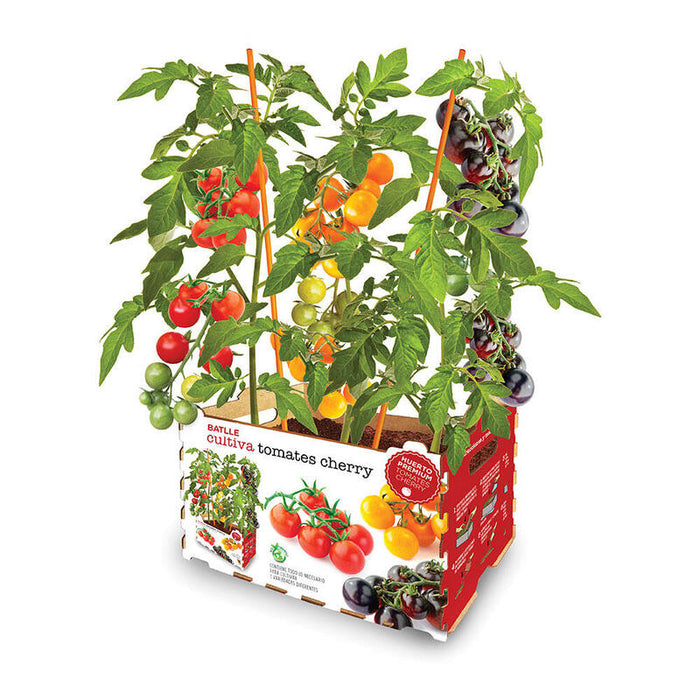 Caja Tomates Colores Batlle