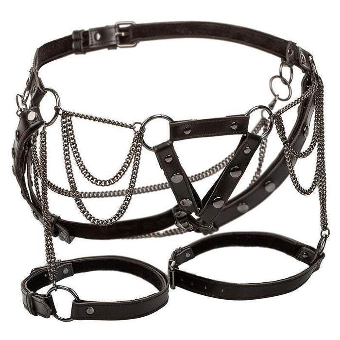 Calexotics - Euphoria Arnés De Muslo Con Cadenas Premium Talla Plus