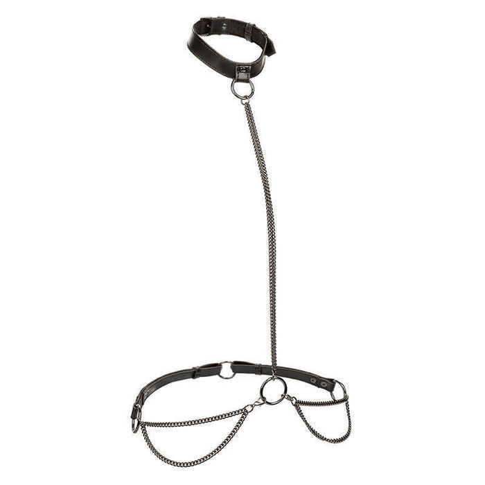 Calexotics - Euphoria Collar Halter Y Correa Con Cadena Talla Plus
