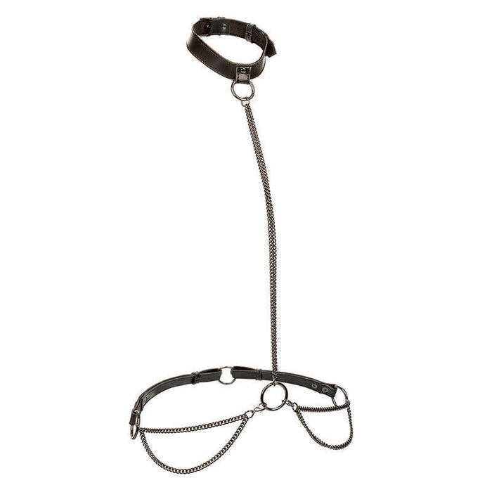 Calexotics - Euphoria Collar Halter Y Correa Con Cadena