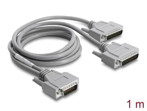 EAN 4043619676101 - DeLOCK 67610 cable de serie 2 x DB-25 imagen 1