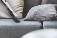 EAN 8059019009834 - Hoover H-HANDY 700 Express HH710T 011 aspiradora de mano Titanio Sin bolsa imagen 9