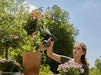 EAN 4078500052375 - Gardena 11114-20 rociador de jardín 1 L imagen 7