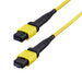 EAN 65030930345 - StarTech.com OS2MTP12BOFNP2M Cable de fibra óptica e InfiniBand 2 m MPO/MTP Violeta imagen 1