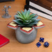 EAN 5055964789633 - Paladone PP9784ST porta lápices Cerámico Gris imagen 4
