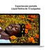 EAN 195950851519 - Apple MacBook Neo Apple A Portátil 33 cm (13") Wi-Fi 6E (802.11ax) macOS Tahoe imagen 5