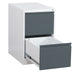EAN 5032548012035 - Phoenix Safe Co. FC1002GAK archivador Acero Antracita, Blanco imagen 4