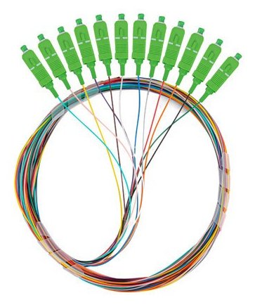 EAN 5901969433449 - Lanberg FP-SCAP-SS21-1202-MC Cable de fibra óptica e InfiniBand 2 m 12x SC SC/APC Multicolor imagen 3