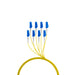 EAN 4049759306984 - EFB Elektronik O8322S10OS2 Cable de fibra óptica e InfiniBand 10 m 8x LC U-DQ(ZN) BH Negro, Azul, Amarill imagen 3