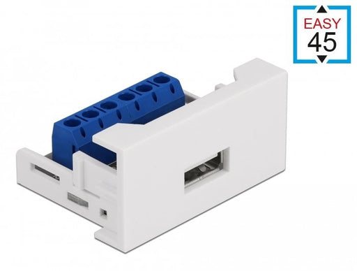EAN 4043619813438 - DeLOCK 81343 conector USB 2.0 Typ-A Blanco imagen 1