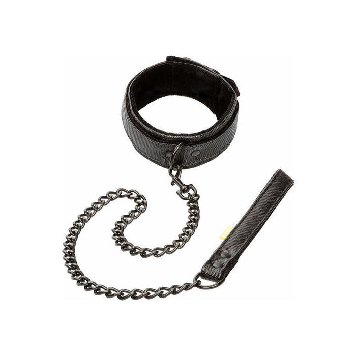 Collar Y Correa Sin Límites - Negro