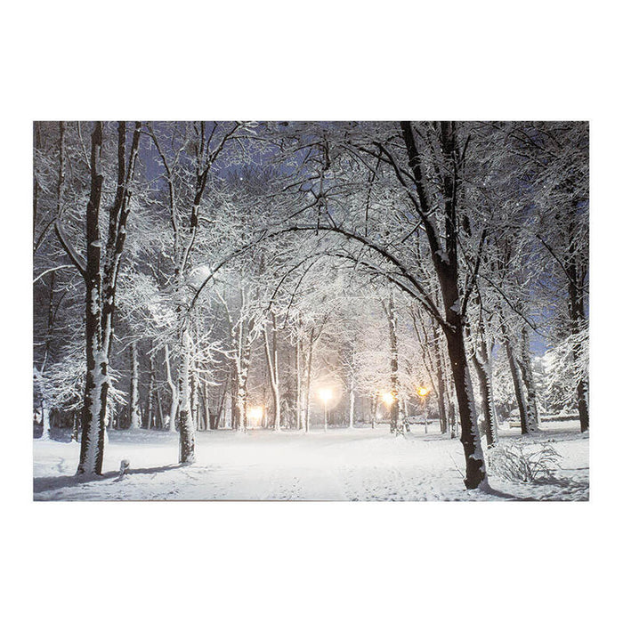 Cuadro Led Paisajes Nevados 58x1,5x38cm 6 Leds 2 Modelos Surtidos