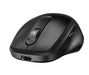 EAN 0198122955305 - HP 725 Multi-Device Rechargeable Wireless Keyboard and Mouse Combo teclado Ratón incluido Oficina RF Wire imagen 7