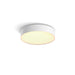 EAN 8718696176412 - Philips Hue White ambiance 4115831P6 Luz de techo inteligente Bluetooth/Zigbee 9,6 W imagen 1