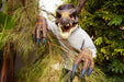 EAN 0194735313037 - Jurassic World JGG12 figura de juguete para niños imagen 2