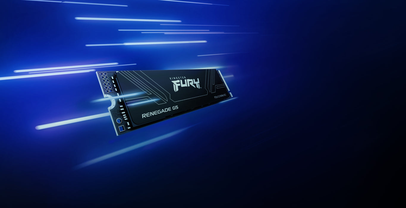 EAN 0740617349498 - Kingston Technology FURY Renegade G5 2 TB PCI Express 5.0 3D TLC imagen 11