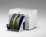 EAN 8715946727721 - Epson T43U Yellow SURELAB SL-D800 cartucho de tinta imagen 13