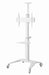 EAN 8716309128995 - Gembird Aluminum TV floor stand with caster wheels, 37\" - 70\", baltas | imagen 2
