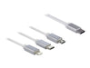 EAN 4043619858446 - DeLOCK 85844 cable USB USB 2.0 0,98 m USB C USB C/Micro-USB B/Lightning Plata, Blanco imagen 3