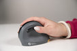 EAN 8719274677161 - BakkerElkhuizen PRF Wireless ratón Oficina mano derecha RF inalámbrico Óptico 1600 DPI imagen 12
