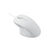 EAN 6940056122407 - Rapoo N500 ratón Oficina USB tipo A Óptico 3600 DPI imagen 5