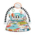 EAN 0194735224067 - Fisher-Price HWY54 gimnasio para bebé y tapete de juego Tela, Plástico Multicolor Gimnasio para bebés imagen 6