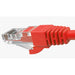 EAN 8697980468542 - Inca CAT6 RJ45 1 m cable de red Rojo U/UTP (UTP) imagen 5
